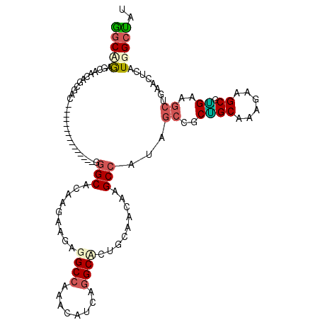 secondary structure