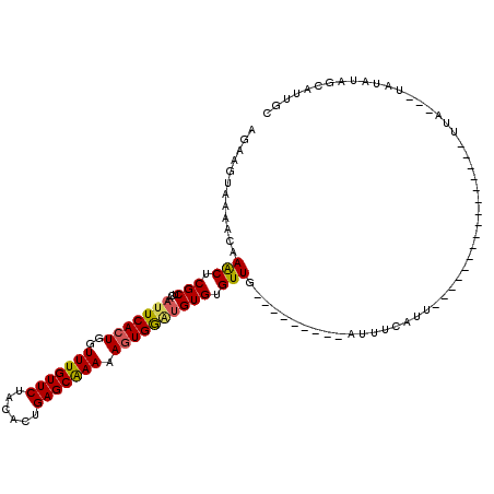secondary structure