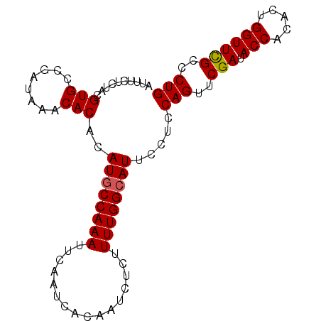 secondary structure