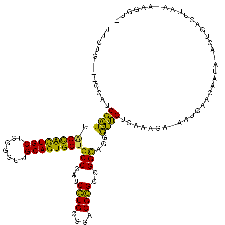 secondary structure