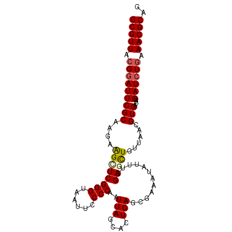 secondary structure