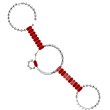 secondary structure