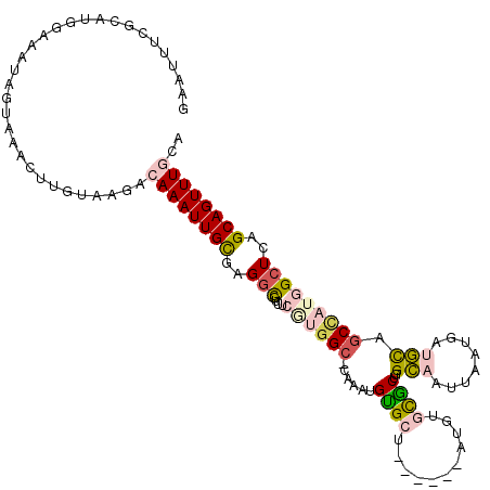 secondary structure