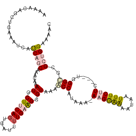 secondary structure