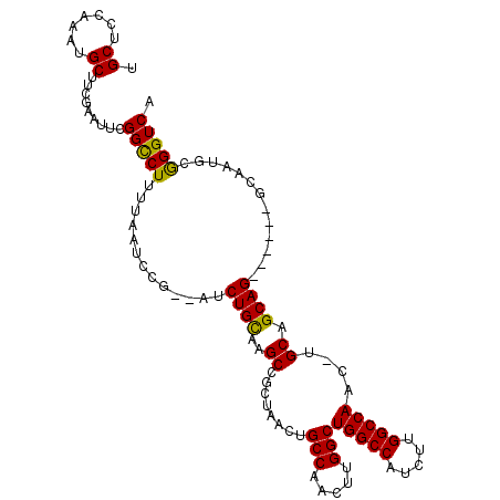 secondary structure