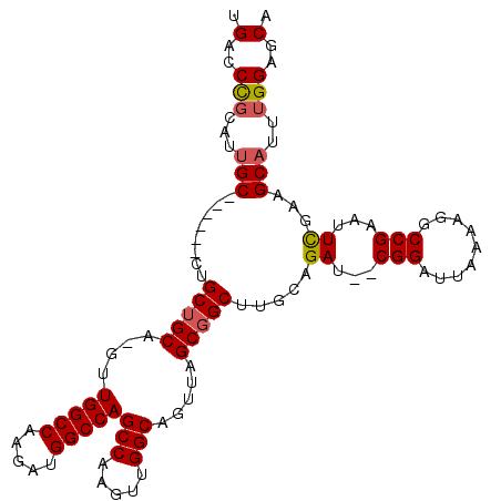secondary structure