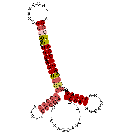 secondary structure
