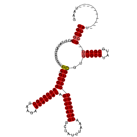 secondary structure