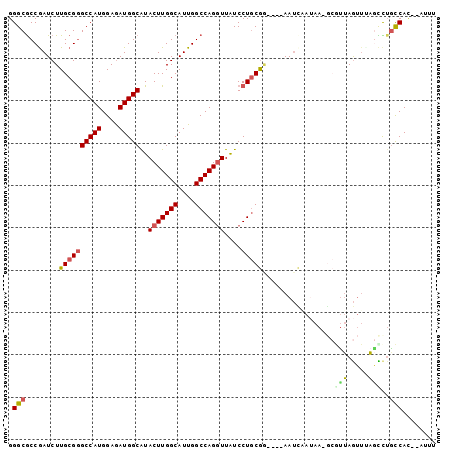 dotplot