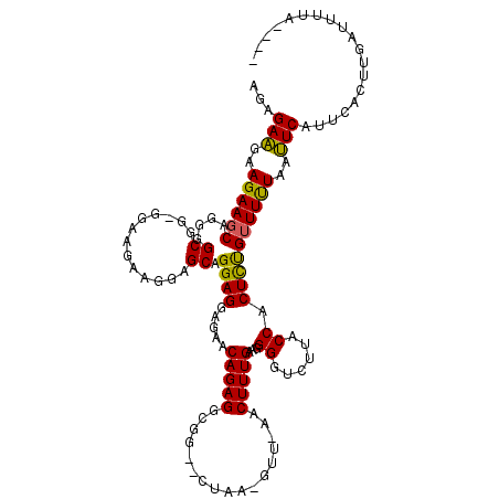 secondary structure