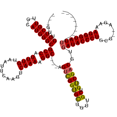 secondary structure