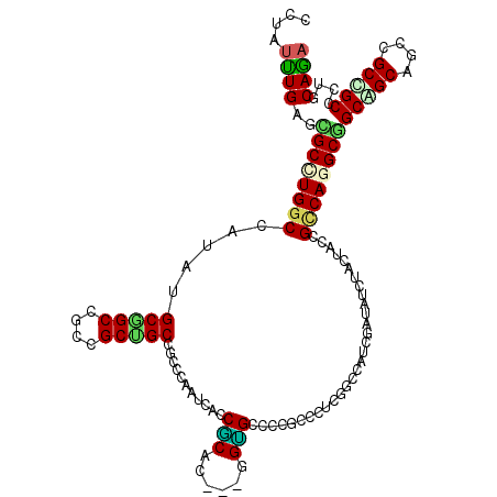 secondary structure