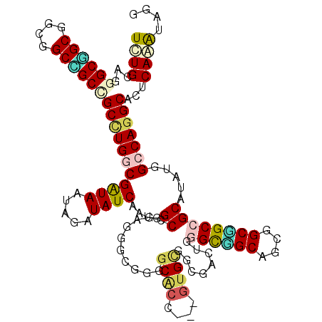 secondary structure