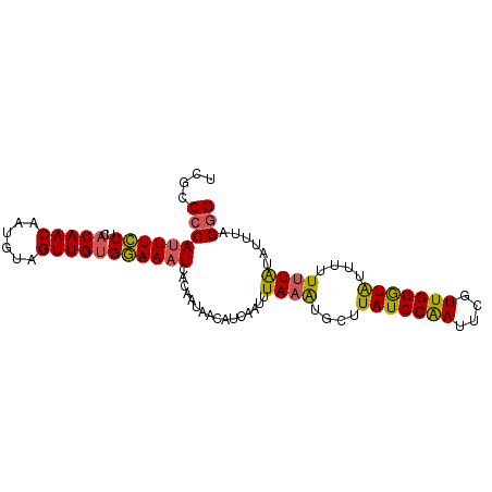 secondary structure