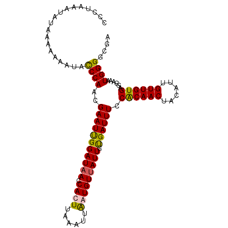secondary structure