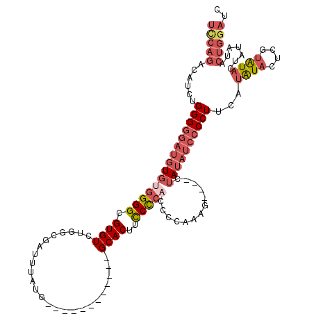 secondary structure