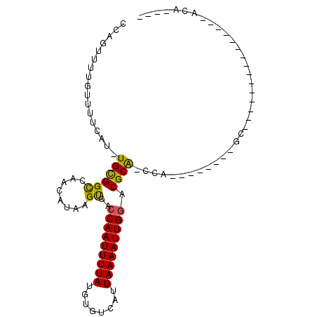 secondary structure