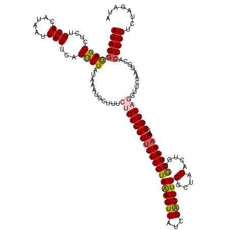 secondary structure
