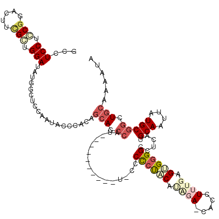 secondary structure