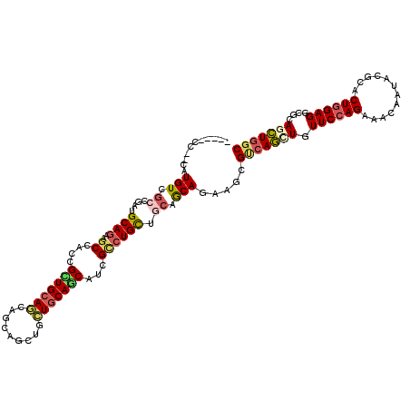 secondary structure