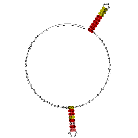 secondary structure