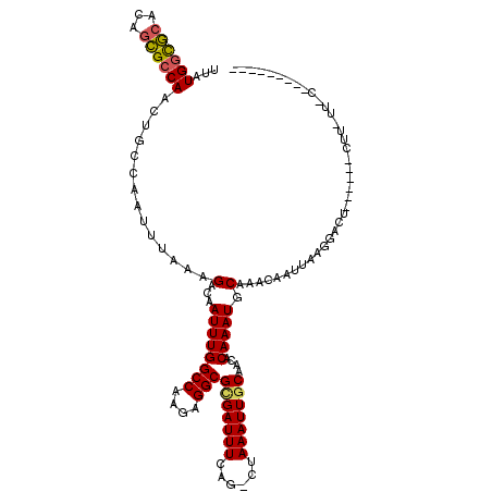 secondary structure