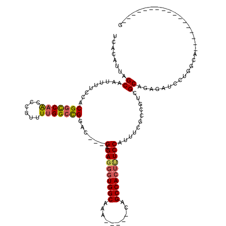 secondary structure