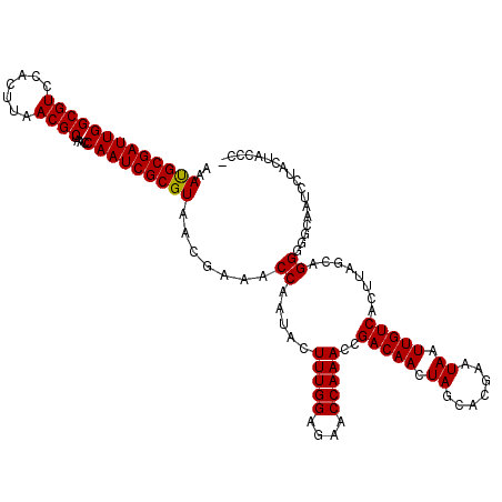 secondary structure