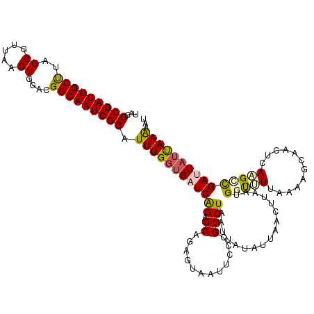 secondary structure