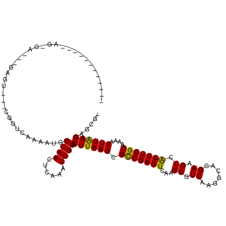secondary structure