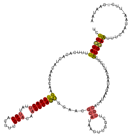 secondary structure