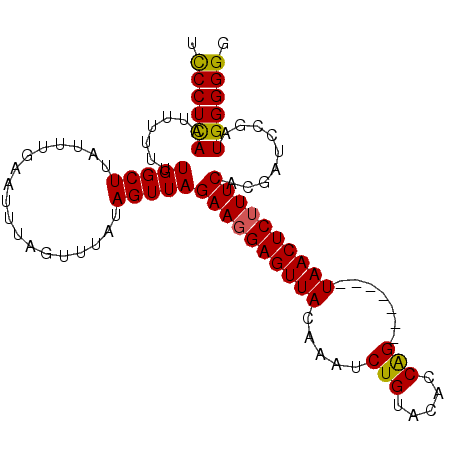secondary structure