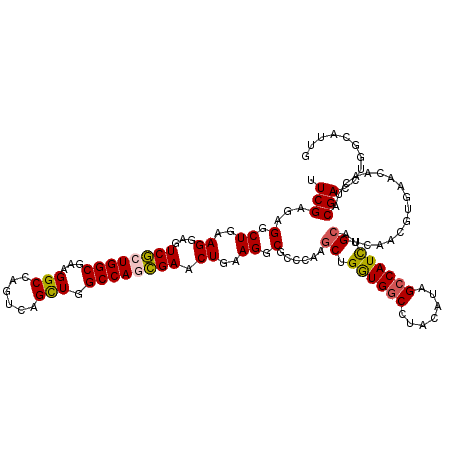secondary structure