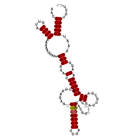 secondary structure
