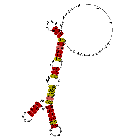 secondary structure