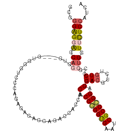 secondary structure