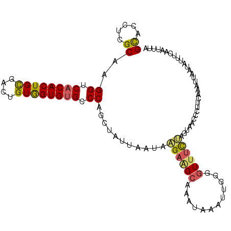 secondary structure