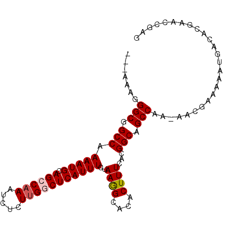 secondary structure