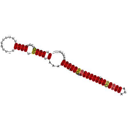 secondary structure