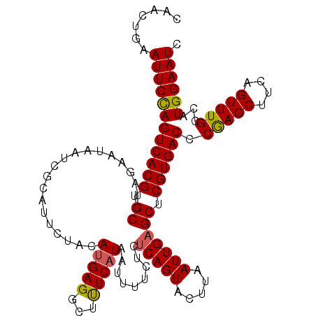 secondary structure