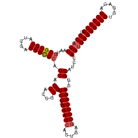 secondary structure