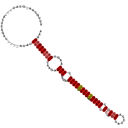secondary structure