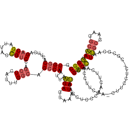 secondary structure