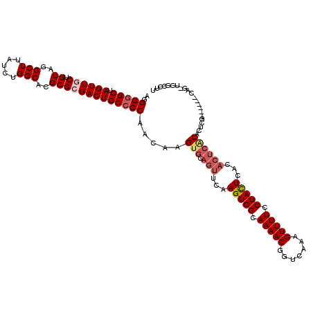secondary structure