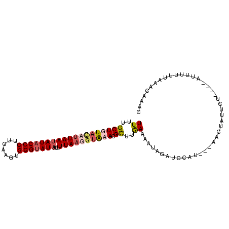 secondary structure
