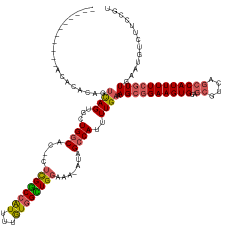 secondary structure
