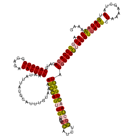 secondary structure