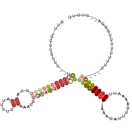 secondary structure