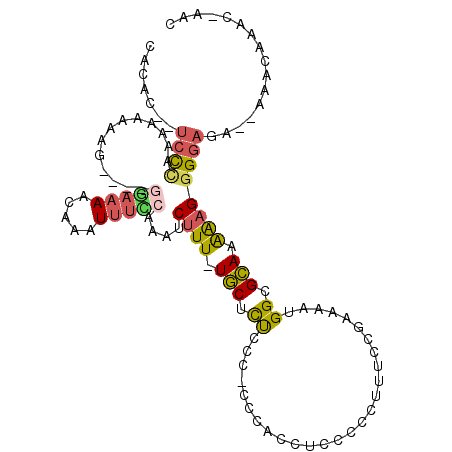 secondary structure