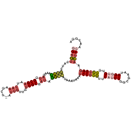 secondary structure